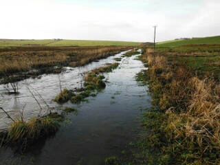´Flooded