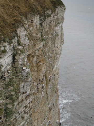 ´Bempton
