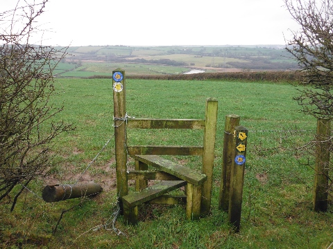 ´Footpath