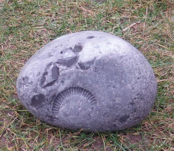 ´A