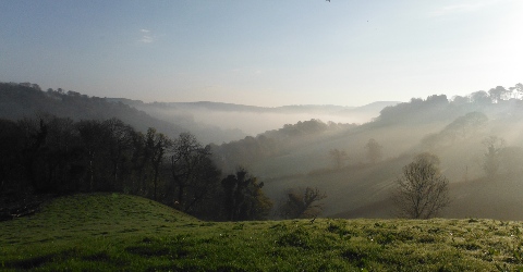 ´Mist