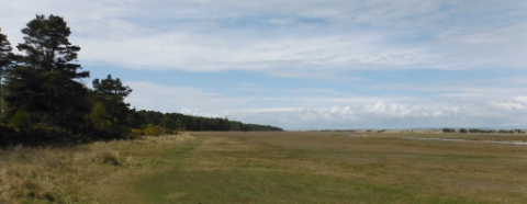 ´Saltmarsh