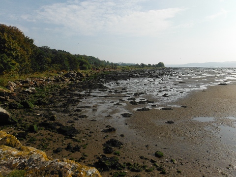 ´Coastline