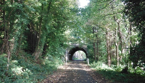 ´Cycleway´