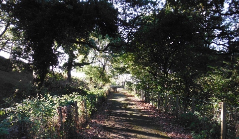 ´Cycleway