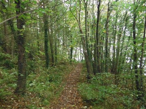 ´Footpath