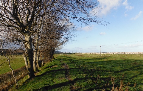 ´Wales